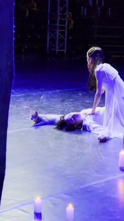 Cat upstages performers during key Romeo & Juliet scene
