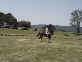 Fête du cheval 091