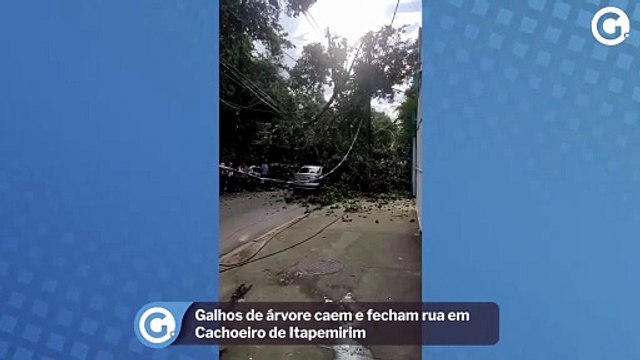 Galhos de árvore caem e fecham rua em Cachoeiro de Itapemirim