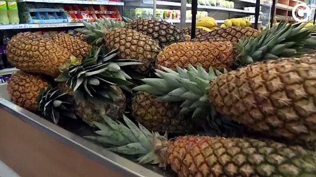 Abacaxi vai parar em cosméticos e até no hambúrguer em Marataízes