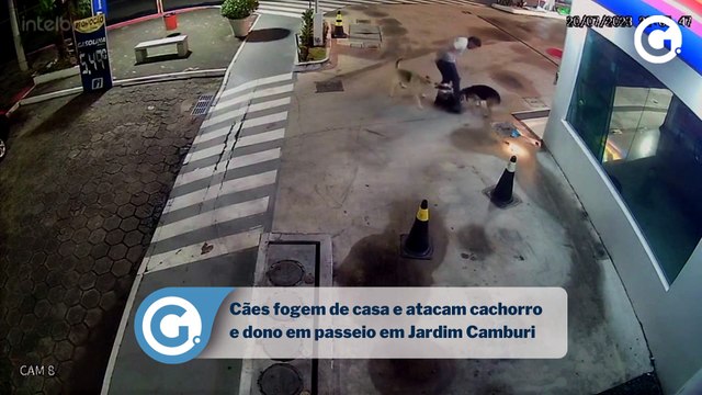 Cães fogem de casa e atacam cachorro e dono em passeio em Jardim Camburi