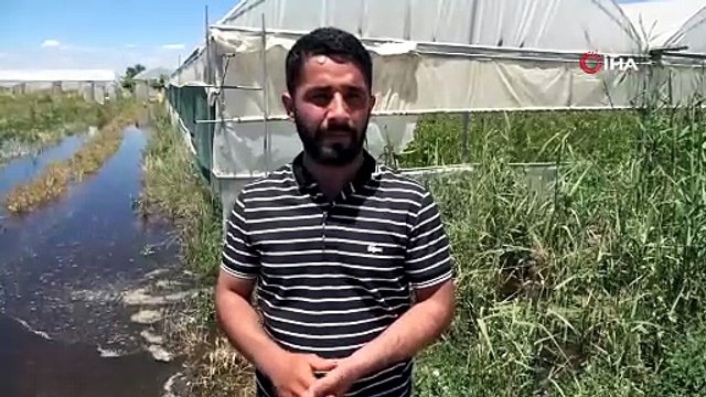 Batman'da aşırı yağışlar seraları vurdu, milyonlarca liralık zarar oluştu