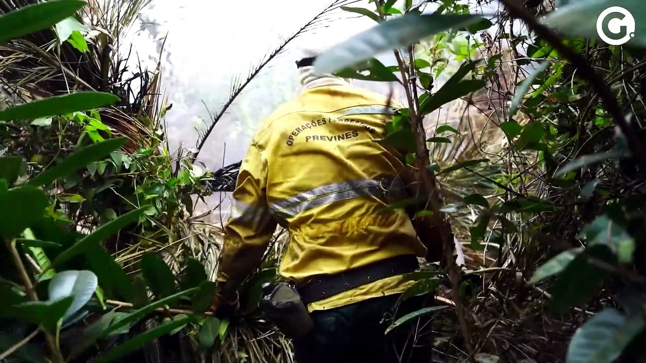 Regenerar - Episódio #1 - Após incêndio, Parque Paulo César Vinha renasce das cinzas