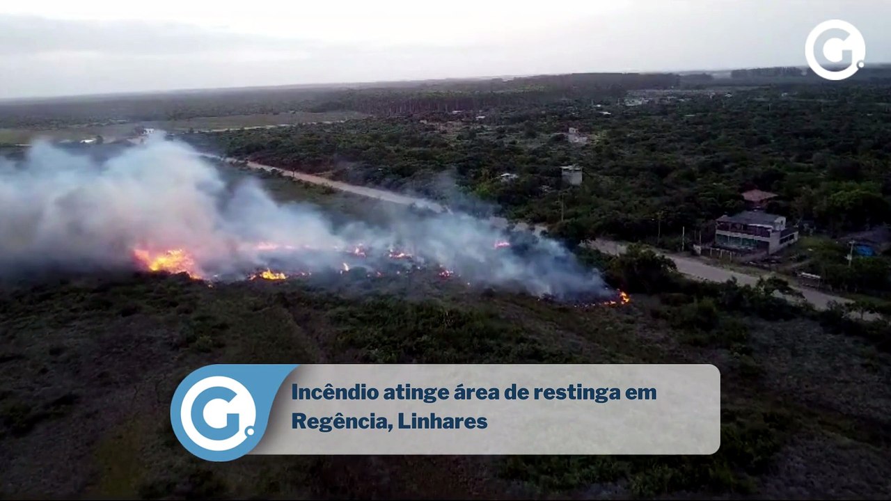 Incêndio atinge área de restinga em Regência, Linhares