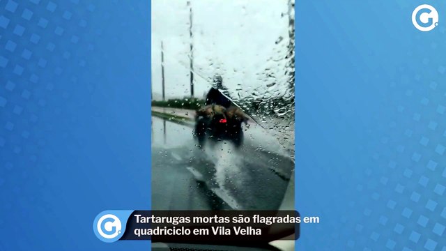 Tartarugas mortas são flagradas em quadriciclo em Vila Velha