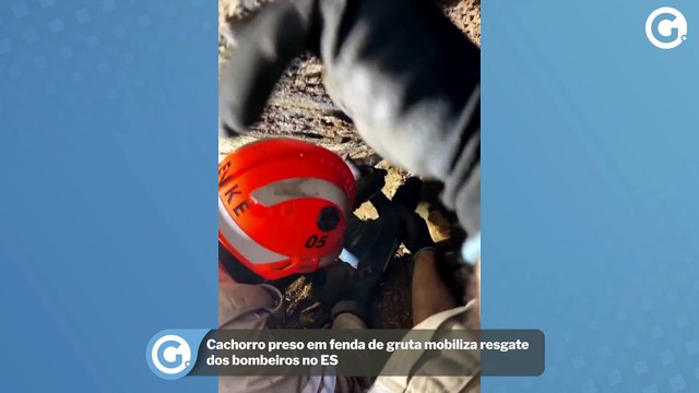 Cachorro preso em fenda de gruta mobiliza resgate dos bombeiros no ES