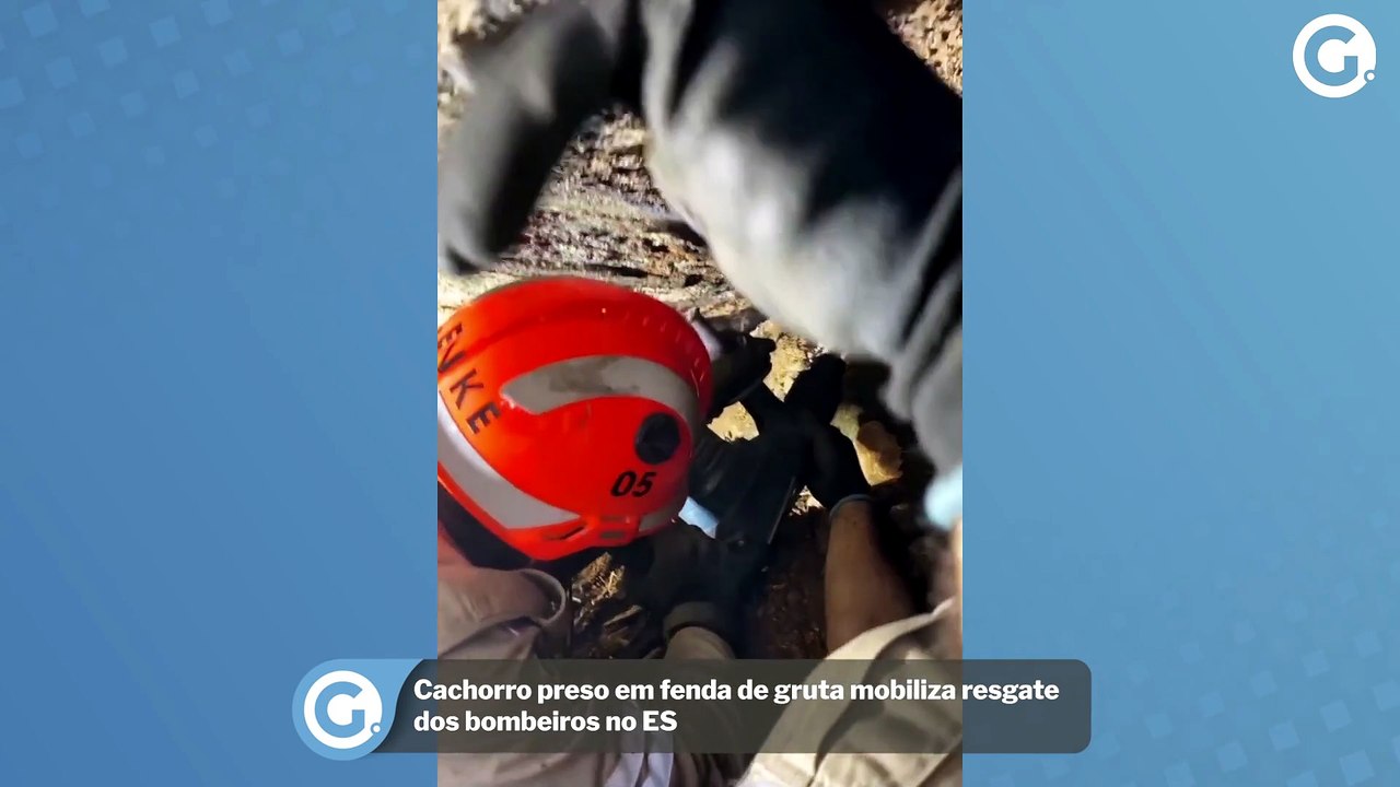 Cachorro preso em fenda de gruta mobiliza resgate dos bombeiros no ES