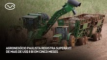 Agronegócio paulista registra superávit de mais de US$ 8 bilhões em cinco meses