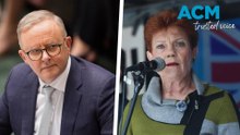 PM shrugs off polling as voters turn to Pauline Hanson