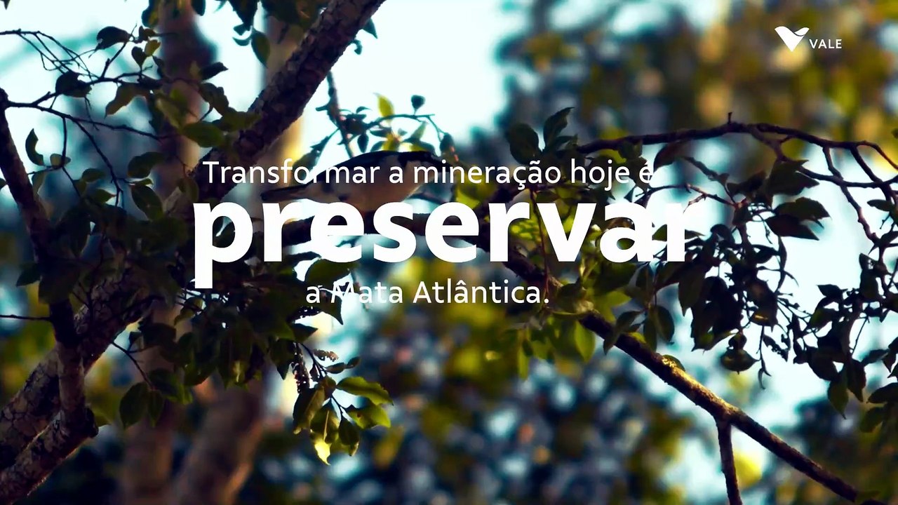 Aroeira & Mata Atlântica - Vale