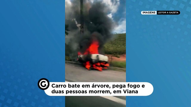 Carro bate em árvore, pega fogo e duas pessoas morrem, em Viana
