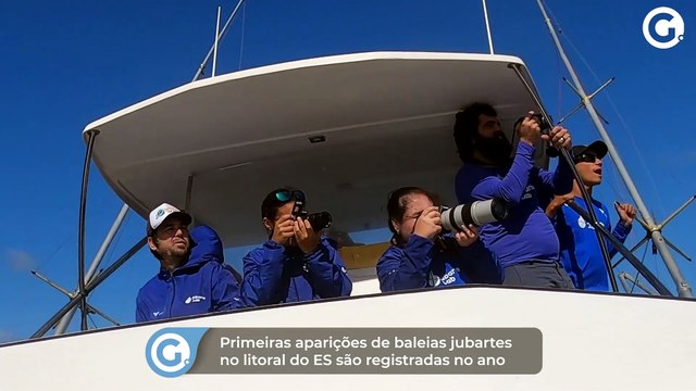 Primeiras aparições de baleias jubartes no litoral do ES são registradas no ano