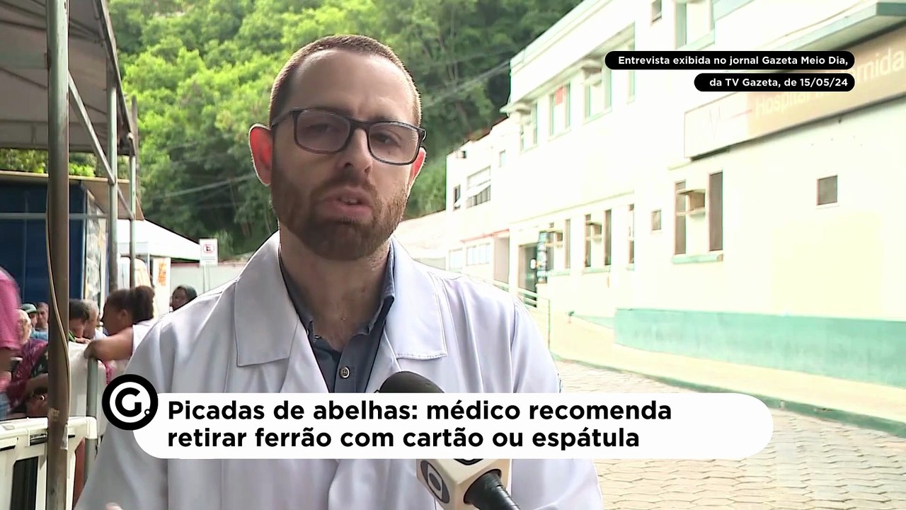 Picadas de abelhas: médico recomenda retirar ferrão com cartão ou espátula