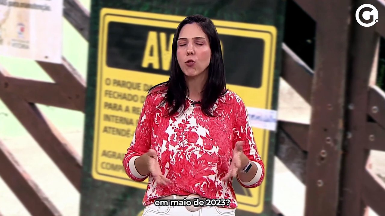 O que é a gripe aviária e quais os riscos