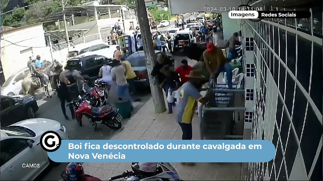 Boi fica descontrolado durante cavalgada em Nova Venécia