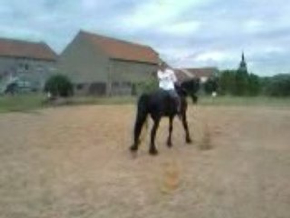 Vidéo0011