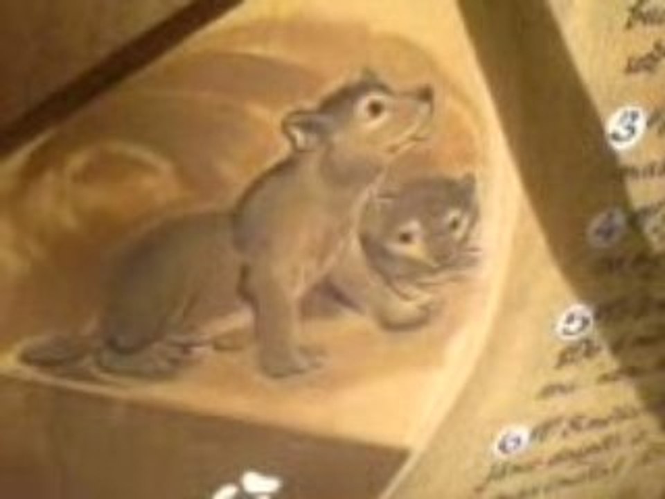 ZOO Brno2