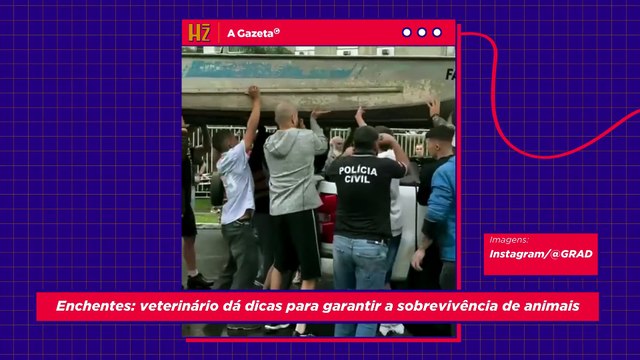 Enchentes: médico-veterinário dá dicas para garantir a sobrevivência de animais