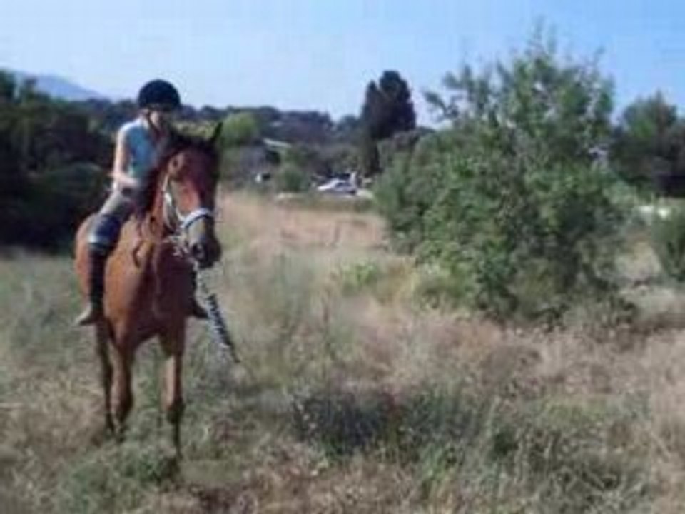 moi au galop sur kitkat