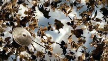 IMMORTALS (2011) Trailer VO - HD [Full Movie]