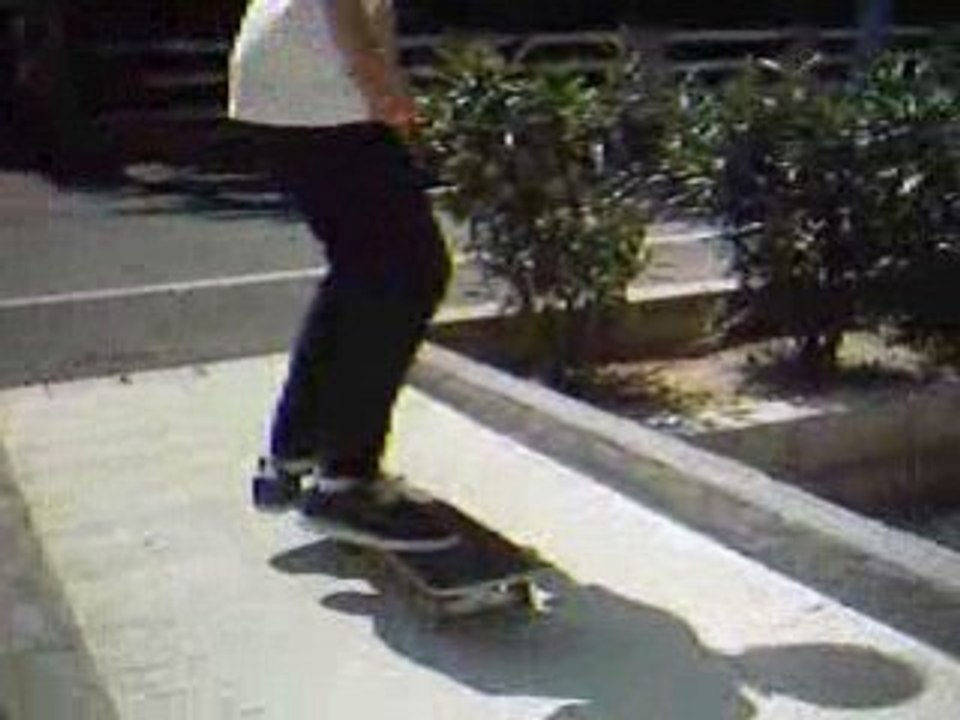 Flip de louis