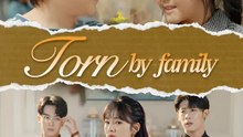 Torn by Family | Serie Completa | Short Drama Español