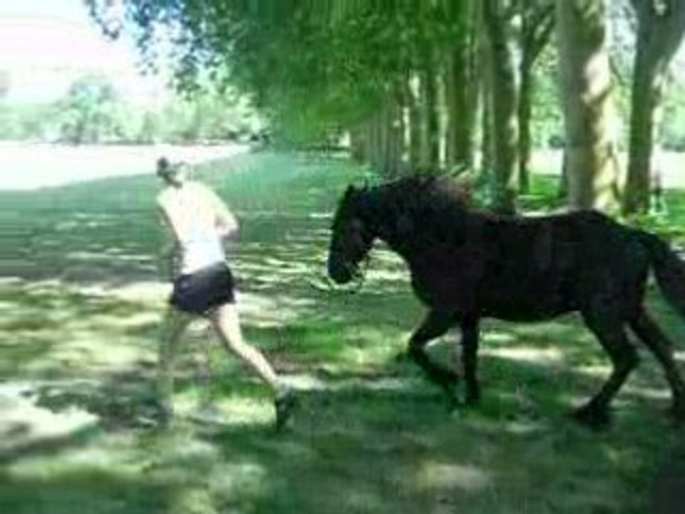 Ballade_scozzi 049