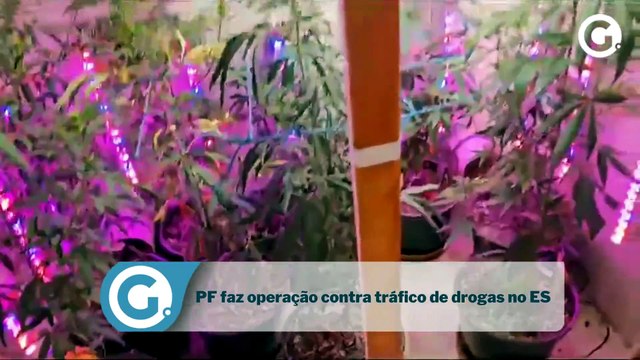 PF faz operação contra tráfico de drogas no ES