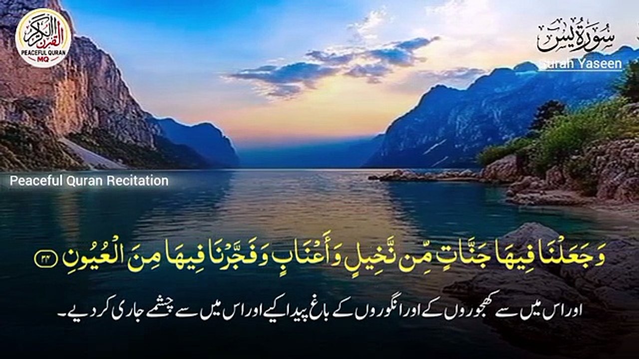 surah yaseen with translation qari sab [Full Movie]