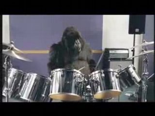 Phil Collins Gorilla