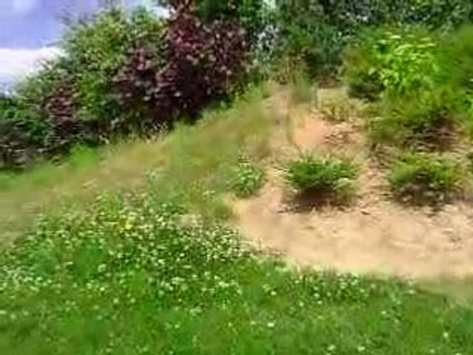 Pierre tout en longueur {opieum}