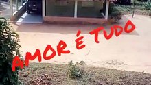 A vida com todos os fatos que é.