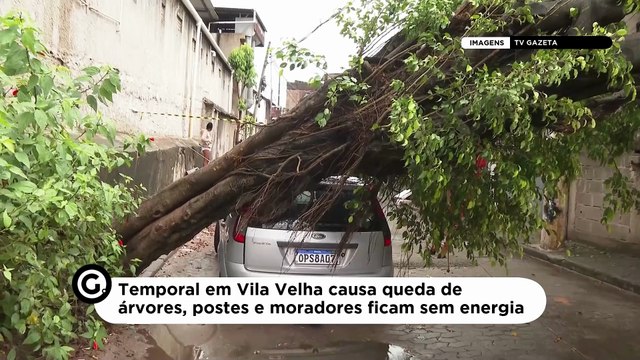 Temporal em Vila Velha causa queda de árvores, postes e moradores ficam sem energia