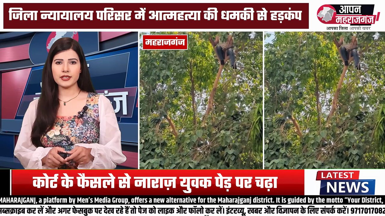महराजगंज कोर्ट में हाई वोल्टेज ड्रामा! फैसले से नाराज़ युवक पेड़ पर चढ़ा, दी आत्महत्या की धमकी