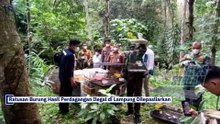 Perdagangan Satwa Ilegal Digagalkan, Ratusan Burung Dilepasliarkan di Lampung