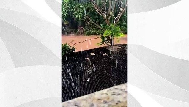 Chuva intensa com granizo e queda de árvores atinge Conceição do Castelo