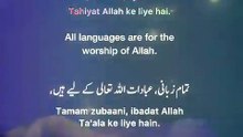 Namaz Mein Attahiyat (Tashahhud) Ka Sahi Tariqa ✨ || #alquranse || #shorts #namaz #dua