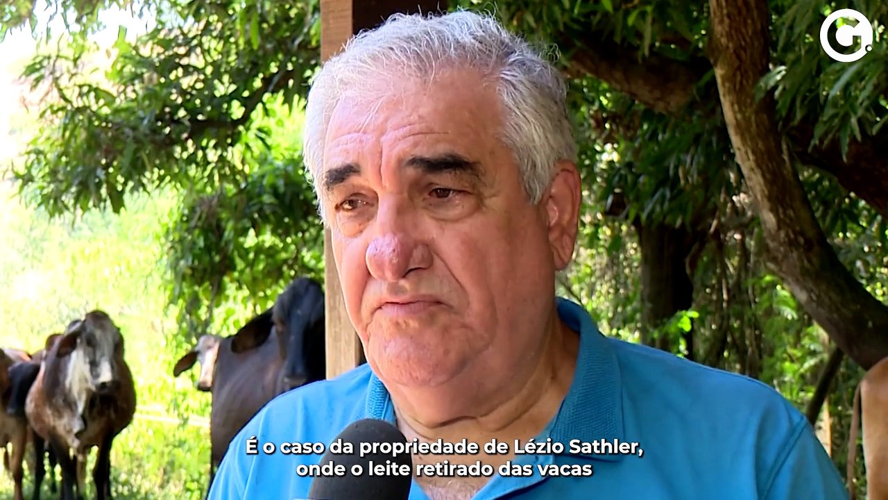 Calor e falta de chuva provocam queda na produção de leite no ES