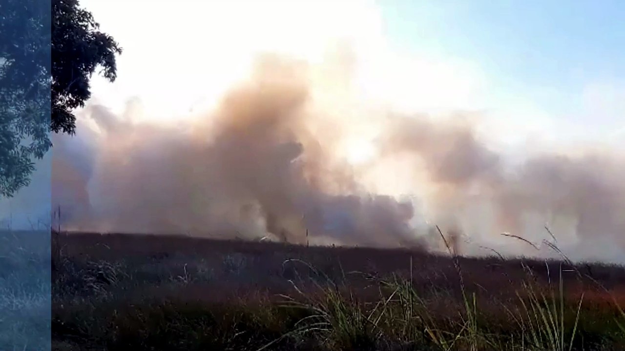 Incêndio atinge área de mata na Serra