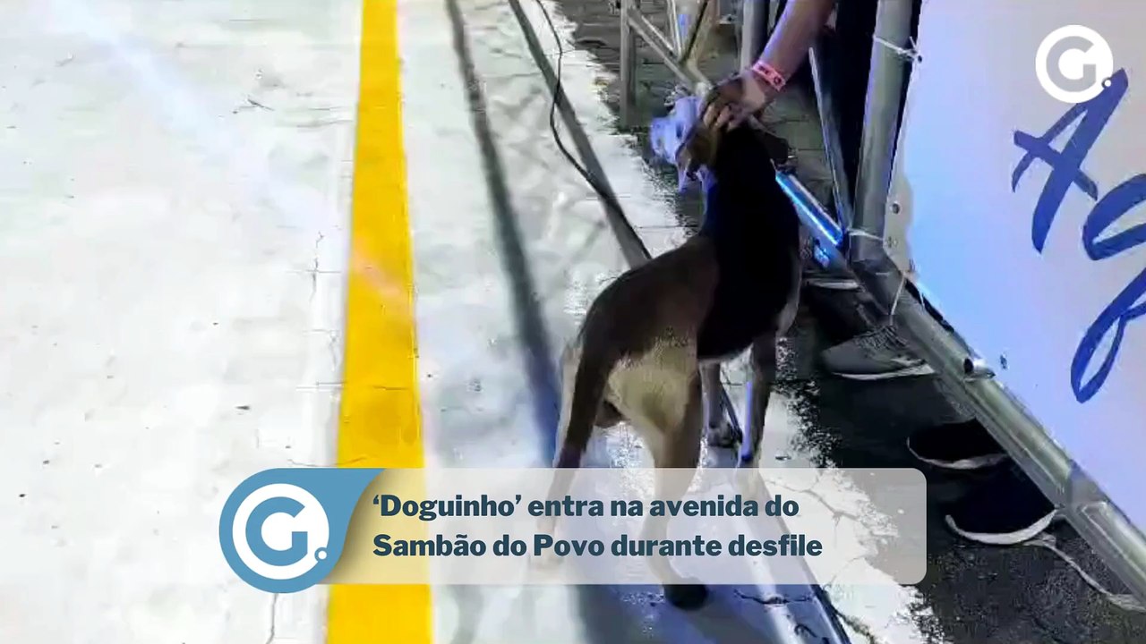 ‘Doguinho’ entra na avenida do Sambão do Povo durante desfile