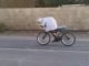 Arabe en vélo ki pattine algérie fou