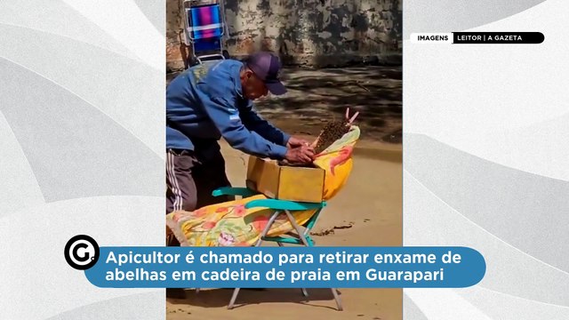 Apicultor é chamado para retirar enxame de abelhas em cadeira de praia em Guarapari