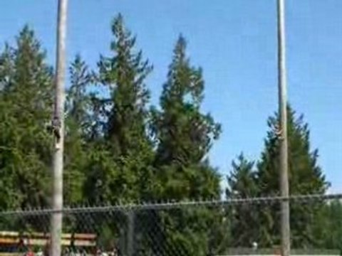 Tree Climbing Championships