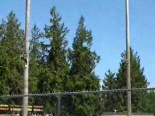 Tree Climbing Championships