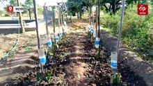 प्लास्टिक बॉटलों से 30 हजार ड्रिप इरिगेशन सिस्टम तैयार, शहडोल में कचरे से गजब की क्रांति