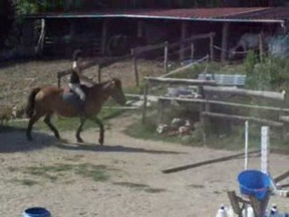 obstacle alice