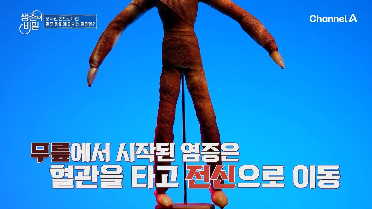 염증 잡는 건강한 습관! 포사인 콘드로이친으로 '관절 미인'이 되었다?!