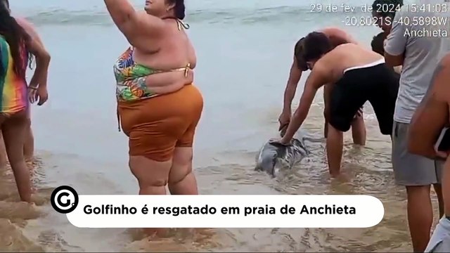 Golfinho é resgatado em praia de Anchieta
