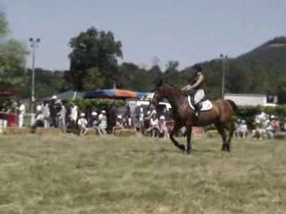 Fête du cheval 094