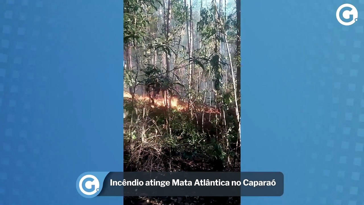 Incêndio atinge Mata Atlântica no Caparaó